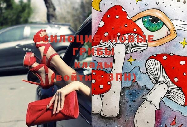 экстази Алзамай