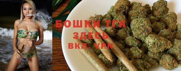ПСИЛОЦИБИНОВЫЕ ГРИБЫ Алексин