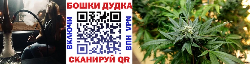 Шишки марихуана семена Новоульяновск